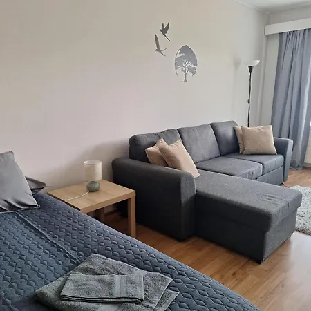 Cozy With Free Parking Kuopio